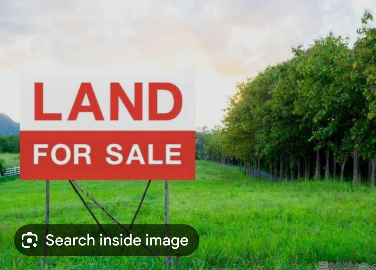 Lot 41a Carnifix Ct, Saint George, Louisiana image 1