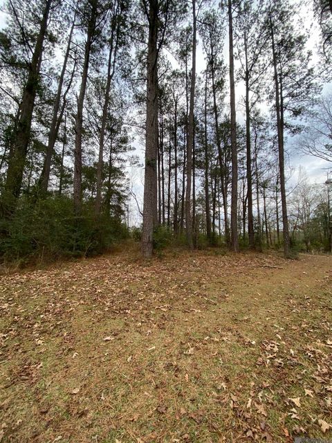 Vacant Land For Sale - TBD La Hwy 1043<br/> Saint Helena County, Greensburg, LA 70441