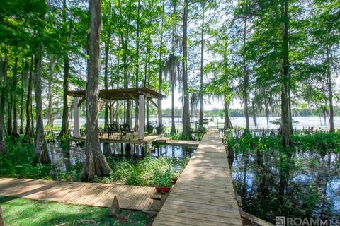 Homes For Sale - 823 Belle River Rd<br/> Pierre Part, LA 70339