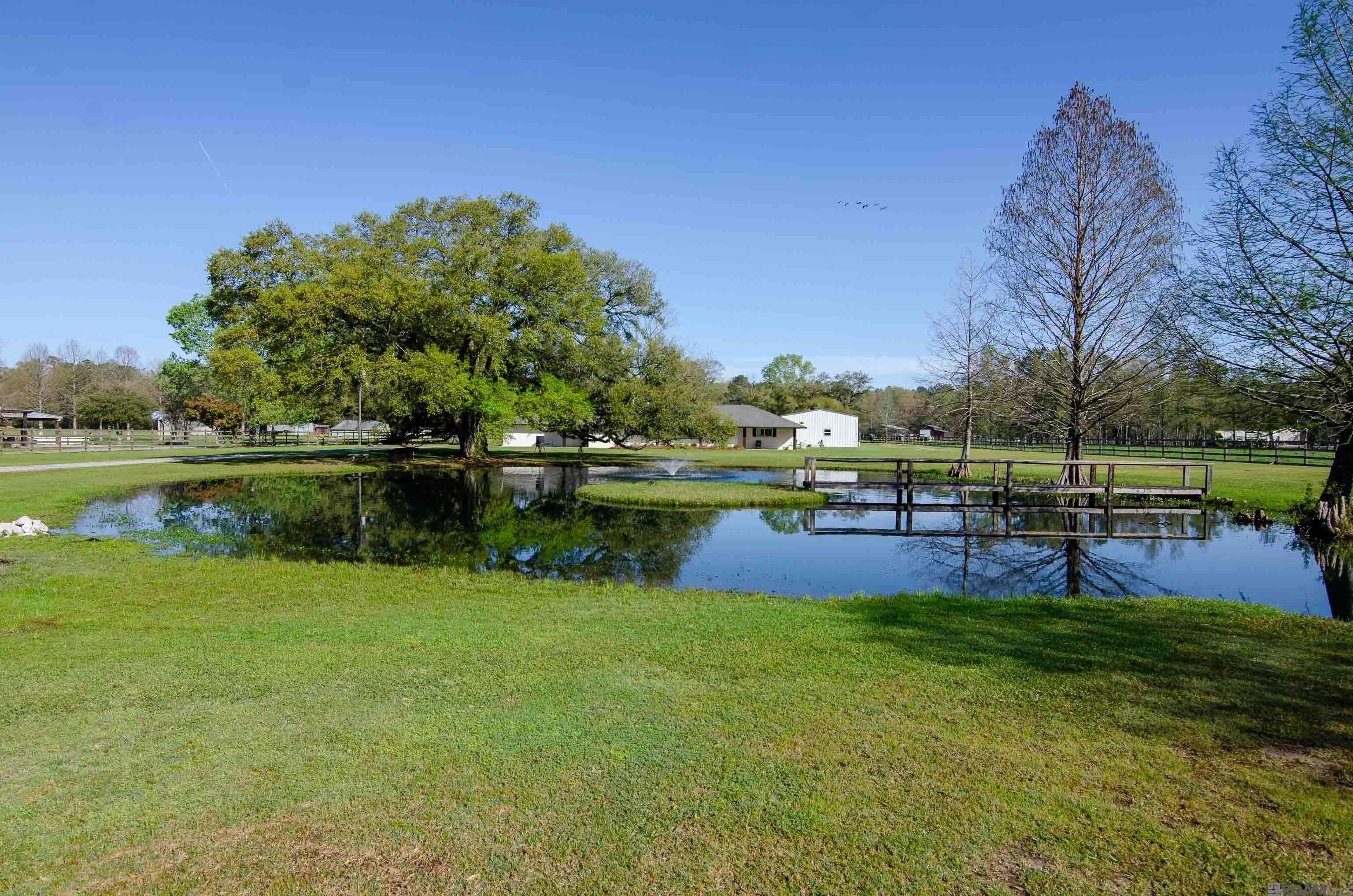 36791 Greenwell Springs Rd, Greenwell Springs, Louisiana image 2