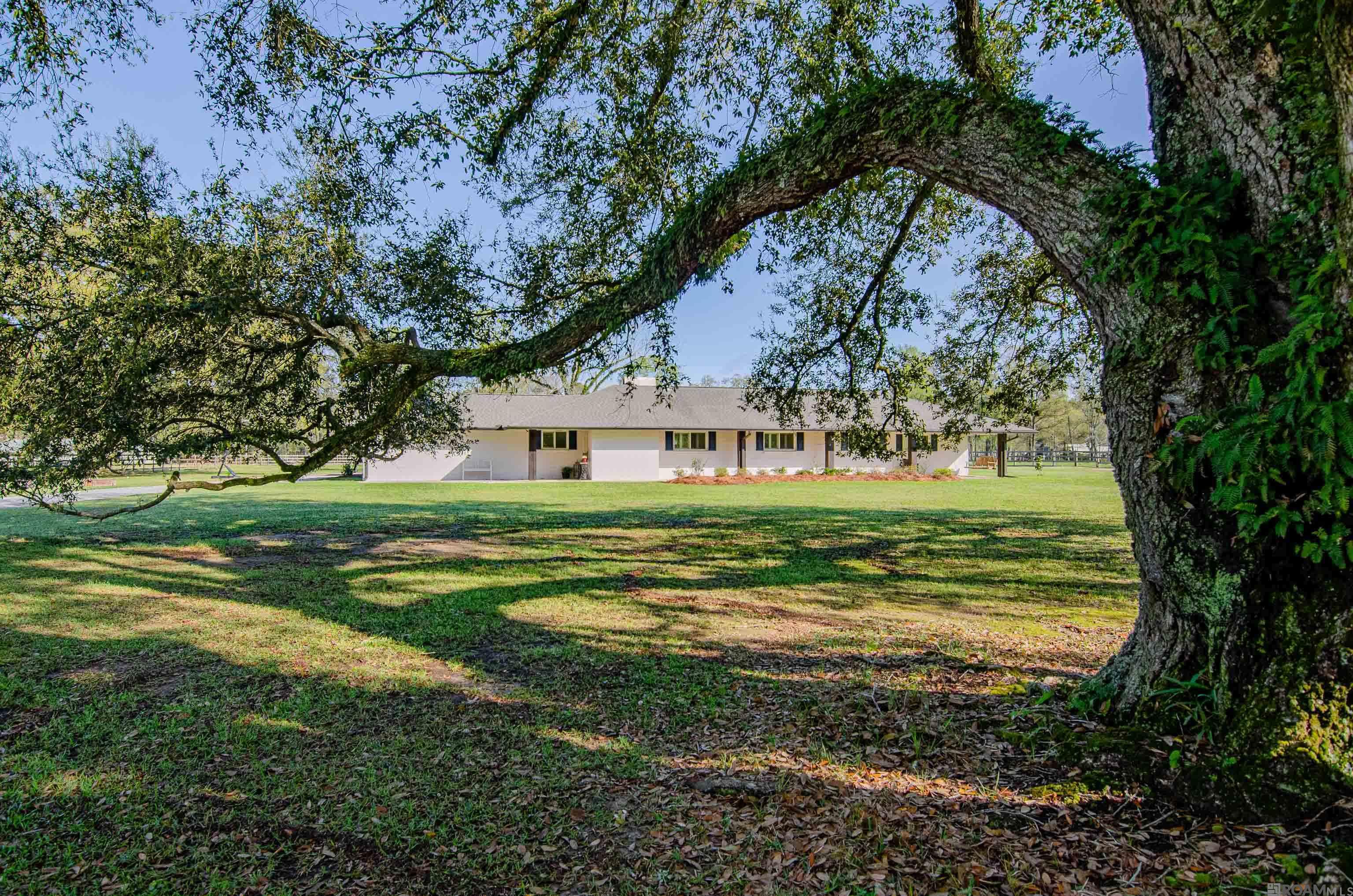 36791 Greenwell Springs Rd, Greenwell Springs, Louisiana image 1