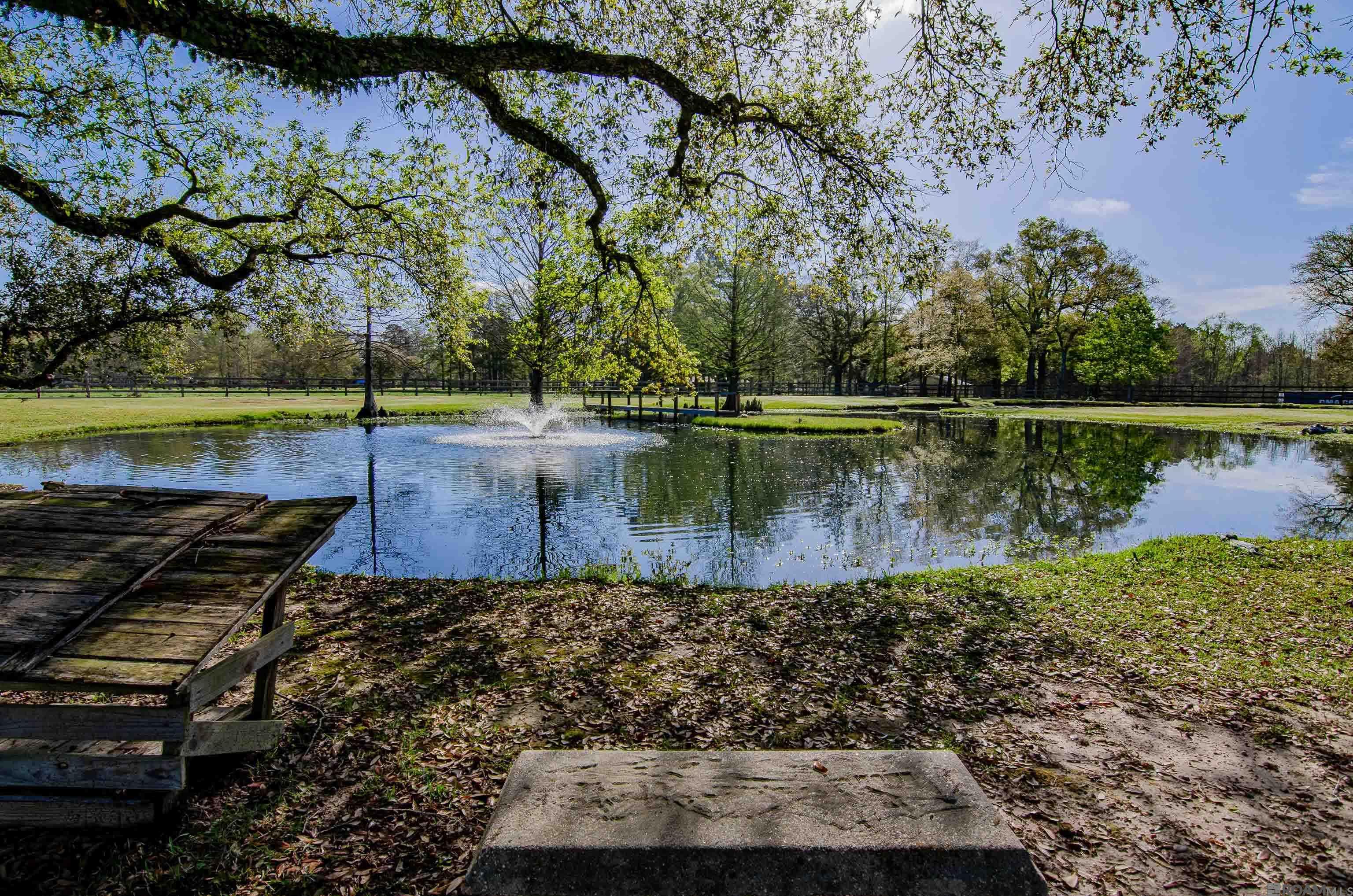 36791 Greenwell Springs Rd, Greenwell Springs, Louisiana image 5