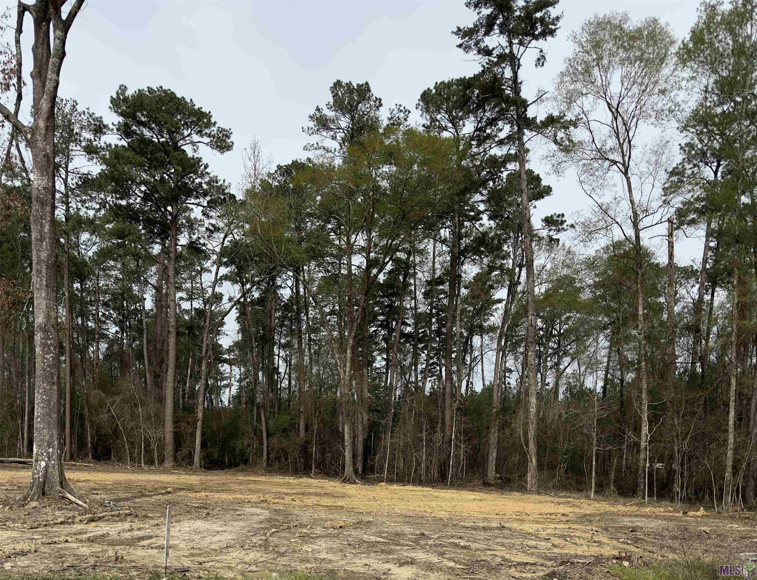 Lot B3 Reinninger Rd, Denham Springs, Louisiana image 3