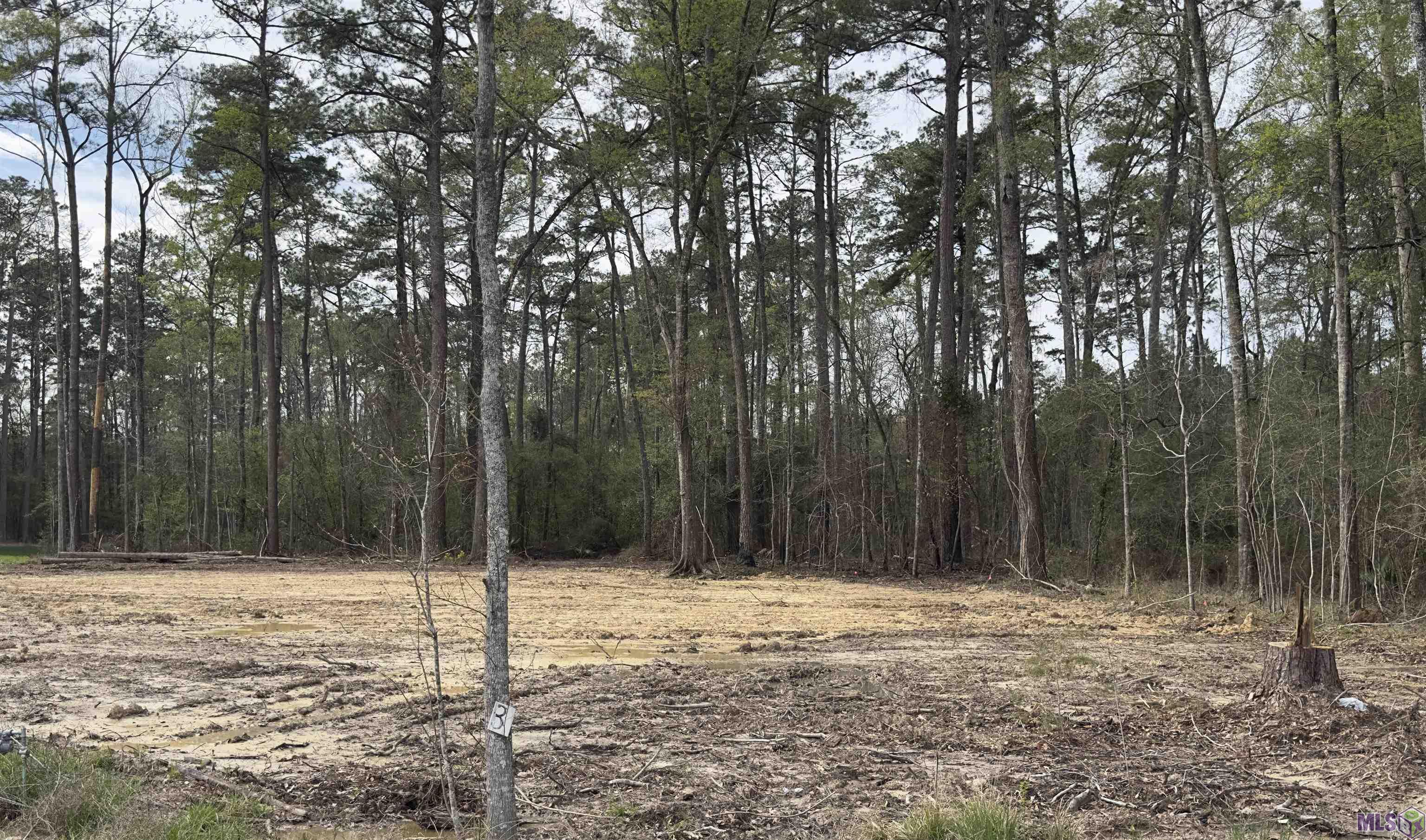 Lot B3 Reinninger Rd, Denham Springs, Louisiana image 1