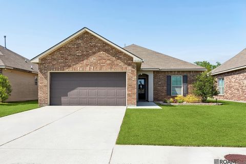 Homes For Sale - 42462 Harborstone Ave<br/> Ascension County, Prairieville, LA 70769