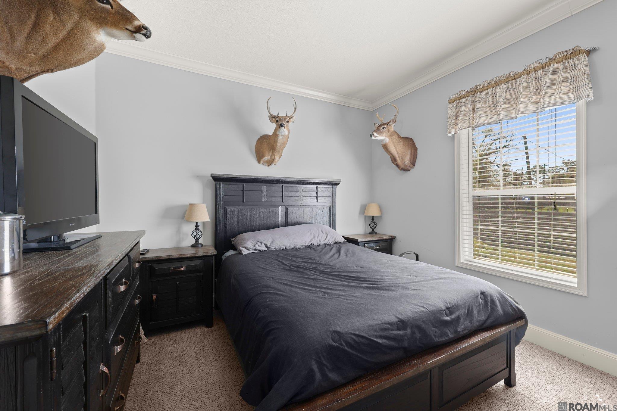 16038 Michel Ln, Prairieville, Louisiana image 17