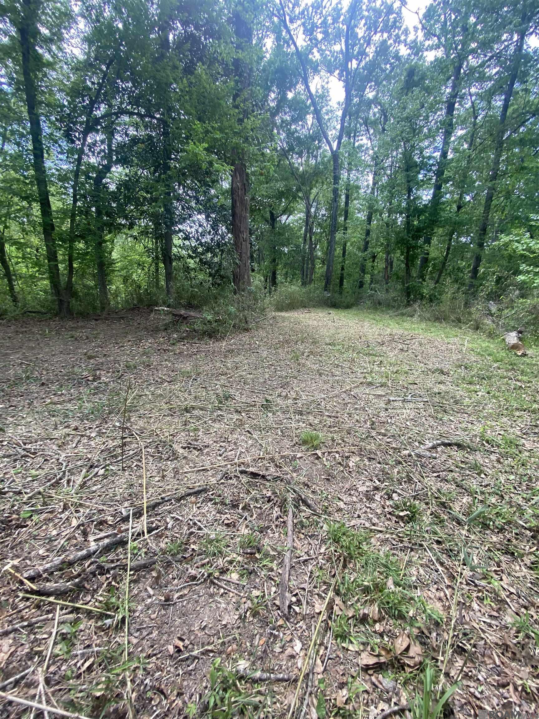10354 Old Field Rd, Saint Francisville, Louisiana image 26