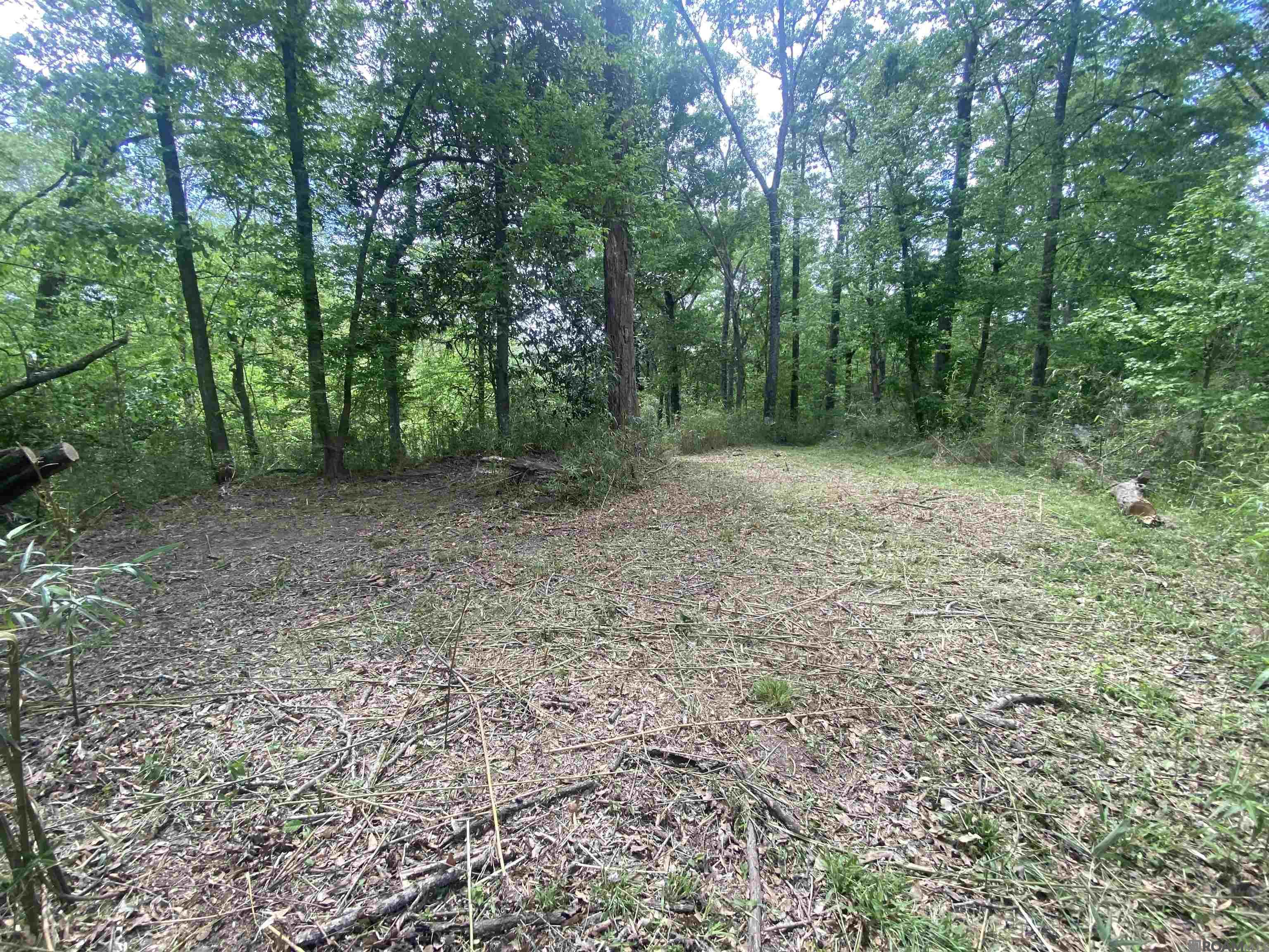 10354 Old Field Rd, Saint Francisville, Louisiana image 21