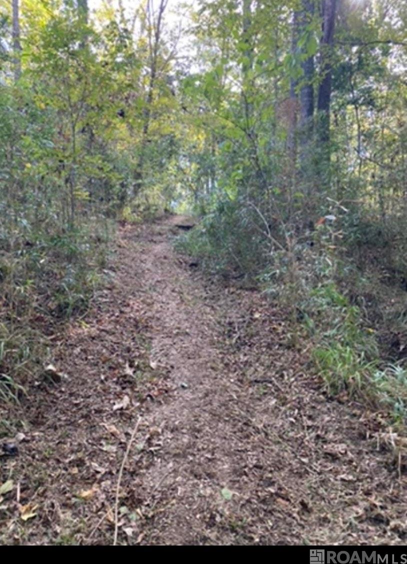 10354 Old Field Rd, Saint Francisville, Louisiana image 29