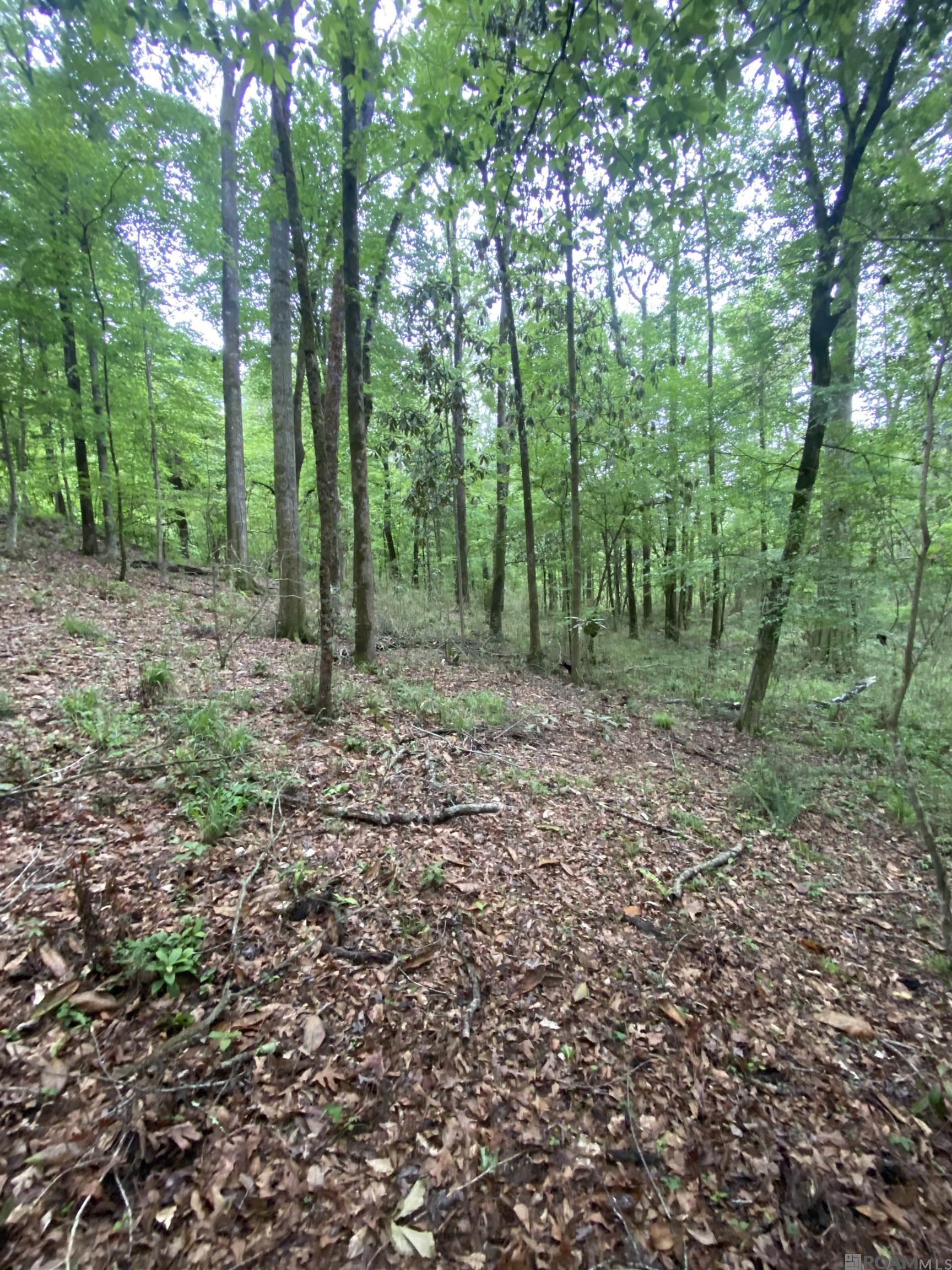 10354 Old Field Rd, Saint Francisville, Louisiana image 25