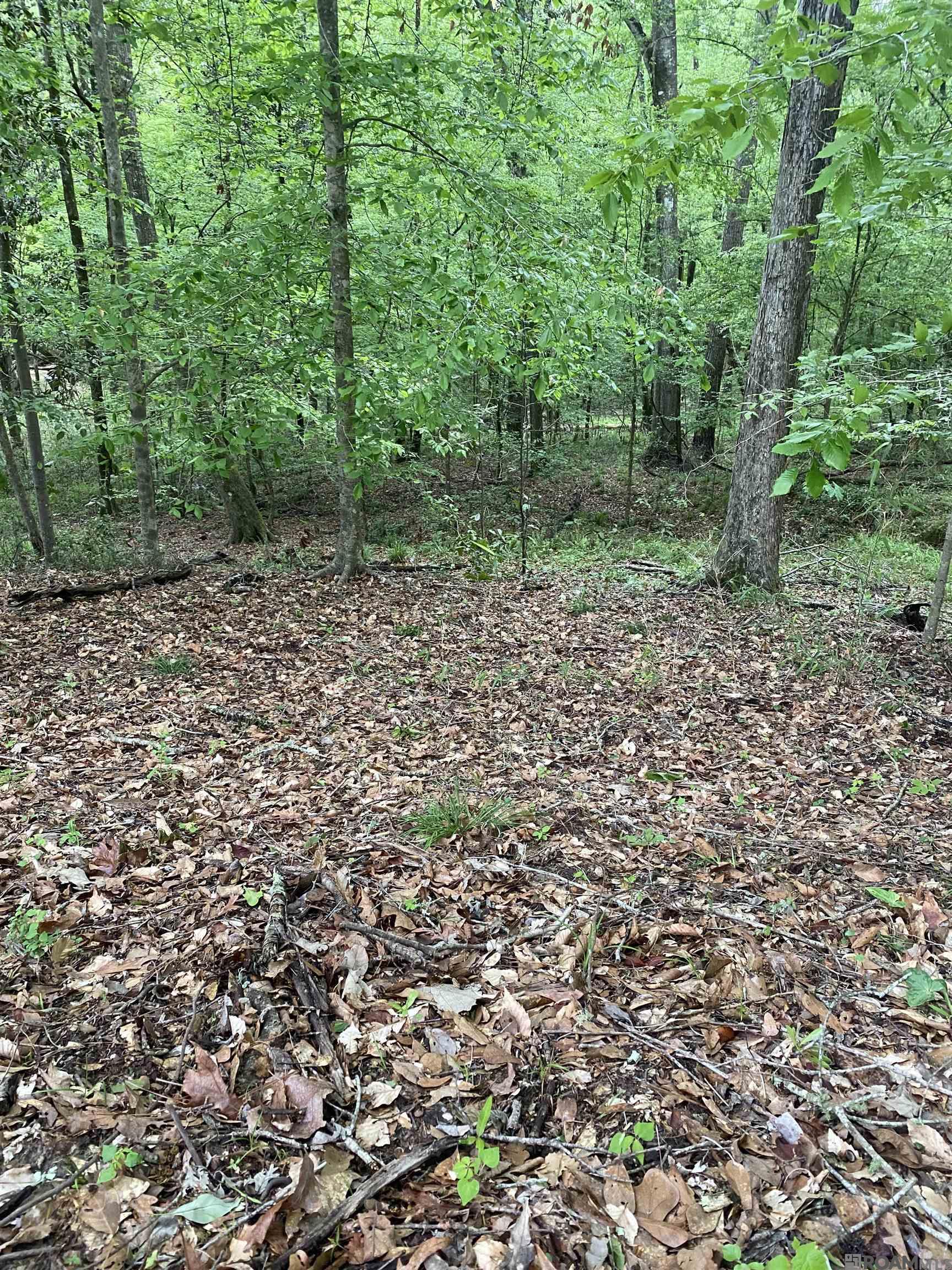 10354 Old Field Rd, Saint Francisville, Louisiana image 24