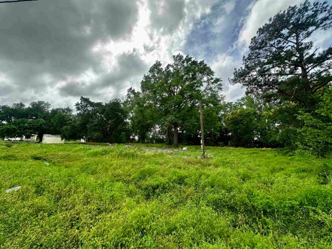 Vacant Land For Sale - 131 Rodriguez Ln<br/> Raceland, LA 70394