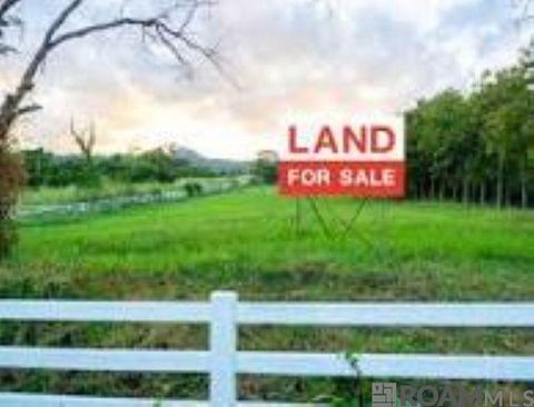 Vacant Land For Sale - TBD Weiss Rd<br/> Walker, LA 70785
