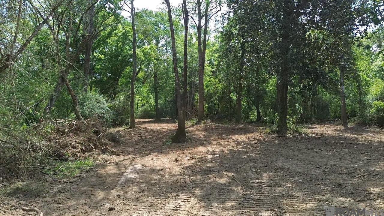 Tract 2-C-1 Bryce Hyde Rd, Roseland, Louisiana image 25