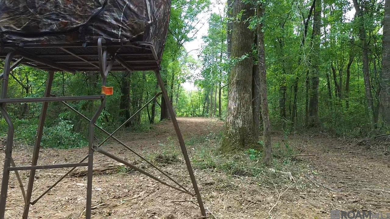 Tract 2-C-1 Bryce Hyde Rd, Roseland, Louisiana image 21