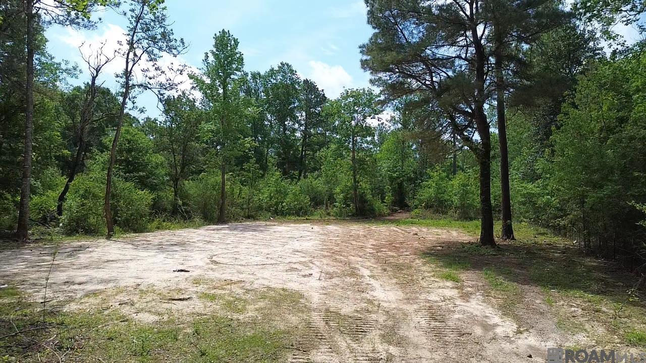 Tract 2-C-1 Bryce Hyde Rd, Roseland, Louisiana image 12