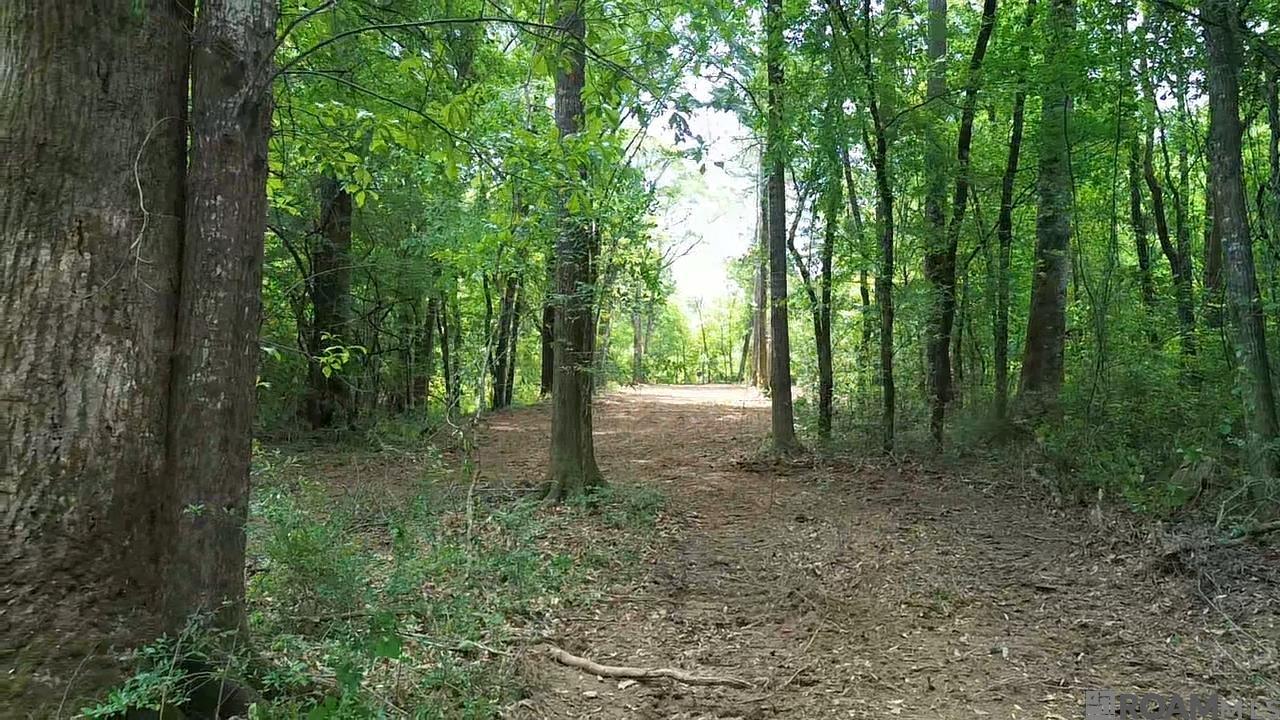 Tract 2-C-1 Bryce Hyde Rd, Roseland, Louisiana image 2