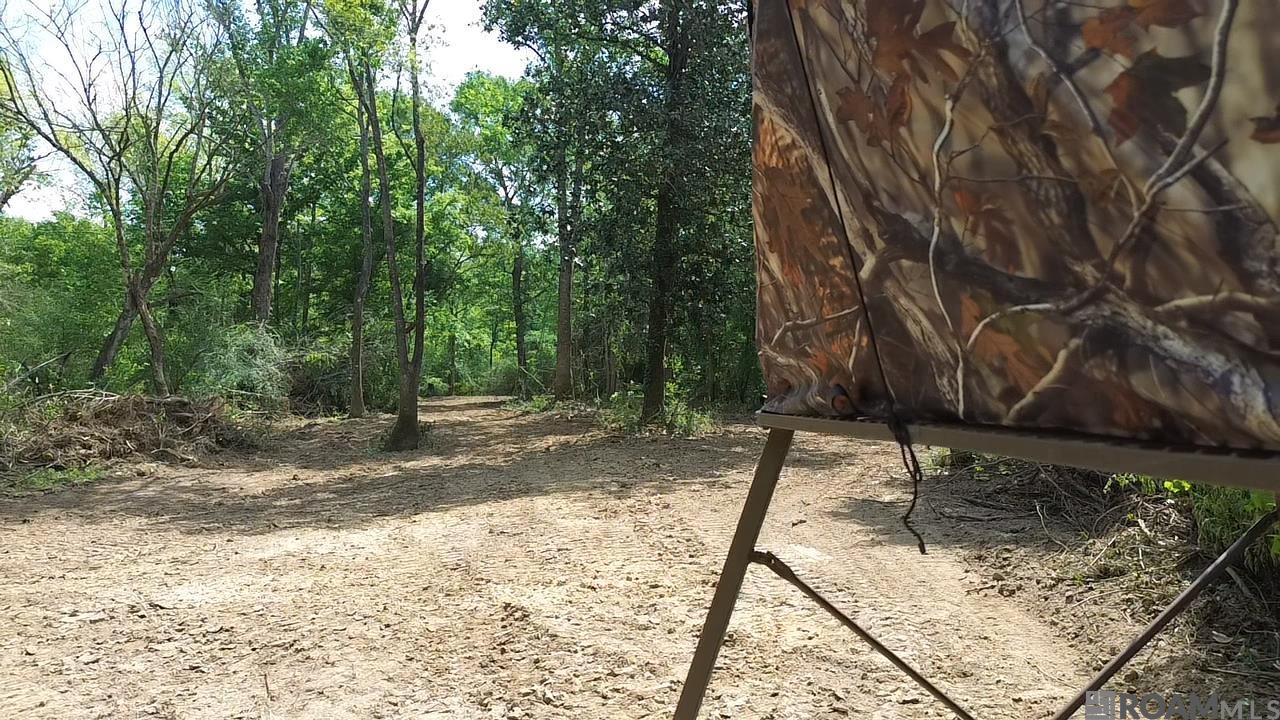 Tract 2-C-1 Bryce Hyde Rd, Roseland, Louisiana image 29