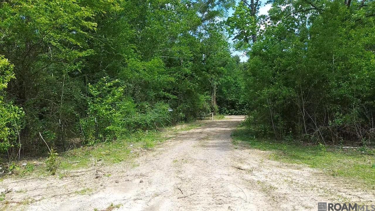 Tract 2-C-1 Bryce Hyde Rd, Roseland, Louisiana image 4