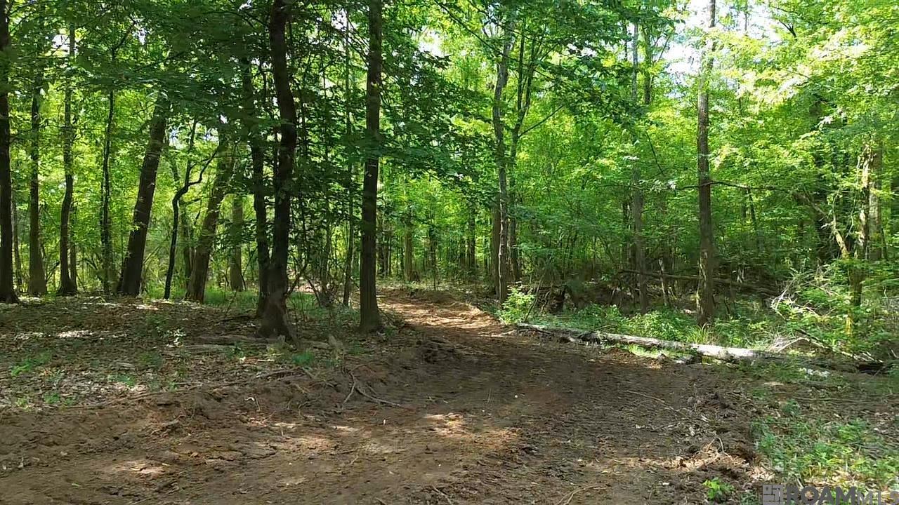 Tract 2-C-1 Bryce Hyde Rd, Roseland, Louisiana image 6