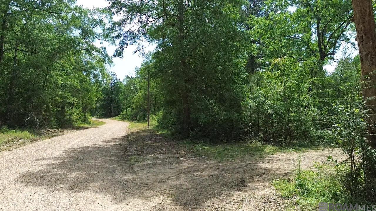 Tract 2-C-1 Bryce Hyde Rd, Roseland, Louisiana image 11