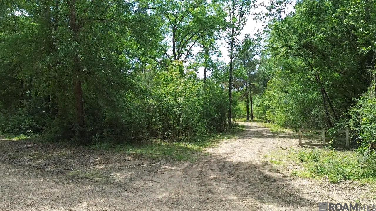 Tract 2-C-1 Bryce Hyde Rd, Roseland, Louisiana image 1