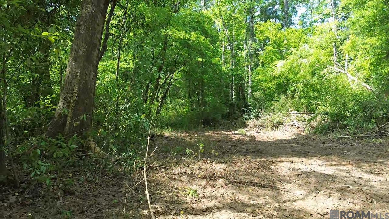Tract 2-C-1 Bryce Hyde Rd, Roseland, Louisiana image 15