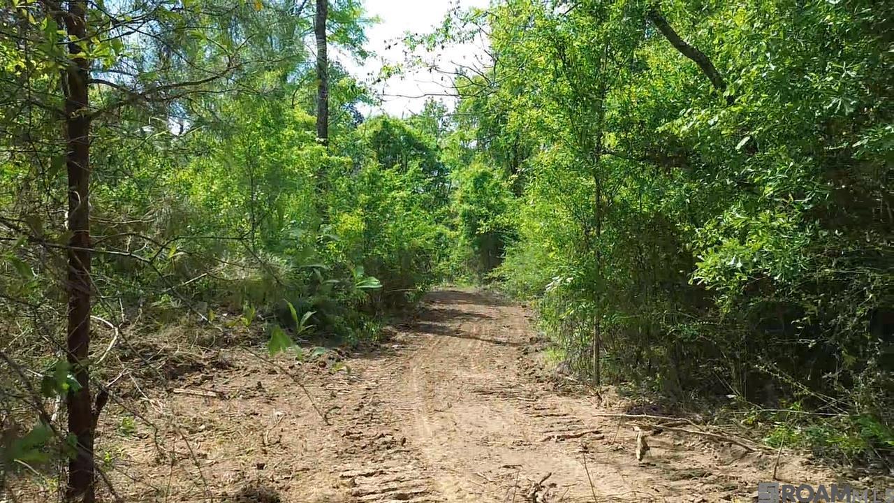 Tract 2-C-1 Bryce Hyde Rd, Roseland, Louisiana image 24