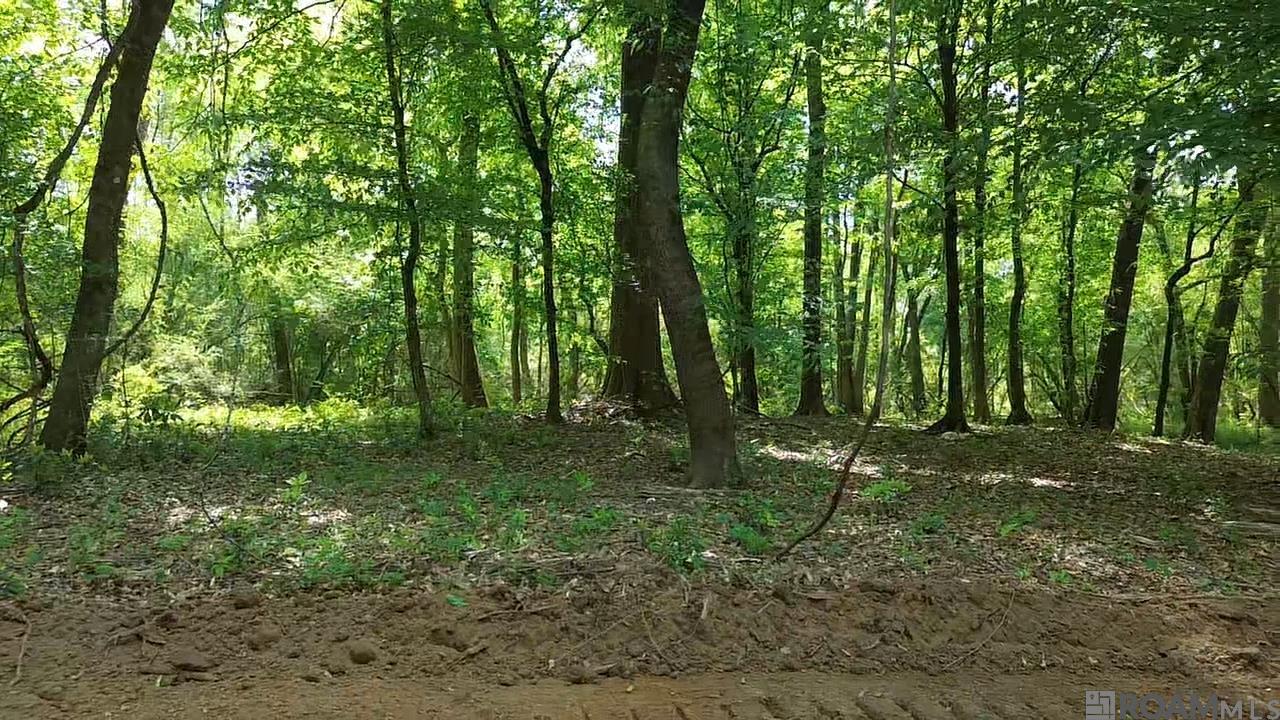 Tract 2-C-1 Bryce Hyde Rd, Roseland, Louisiana image 8
