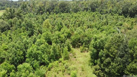 Vacant Land For Sale - 8382 Main St<br/> Zachary, LA 70791