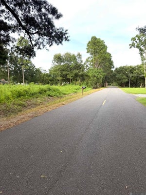 TBD DAVID DR, PRAIRIEVILLE, LA 70769 - Image e630f03ca8f0d7ce693eba8bd7fcfb27/3704350656