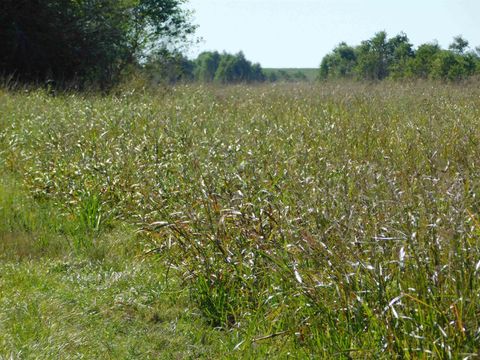 Vacant Land For Sale - TBD Hwy 3235 Cut Off<br/> Cut Off, LA 70345
