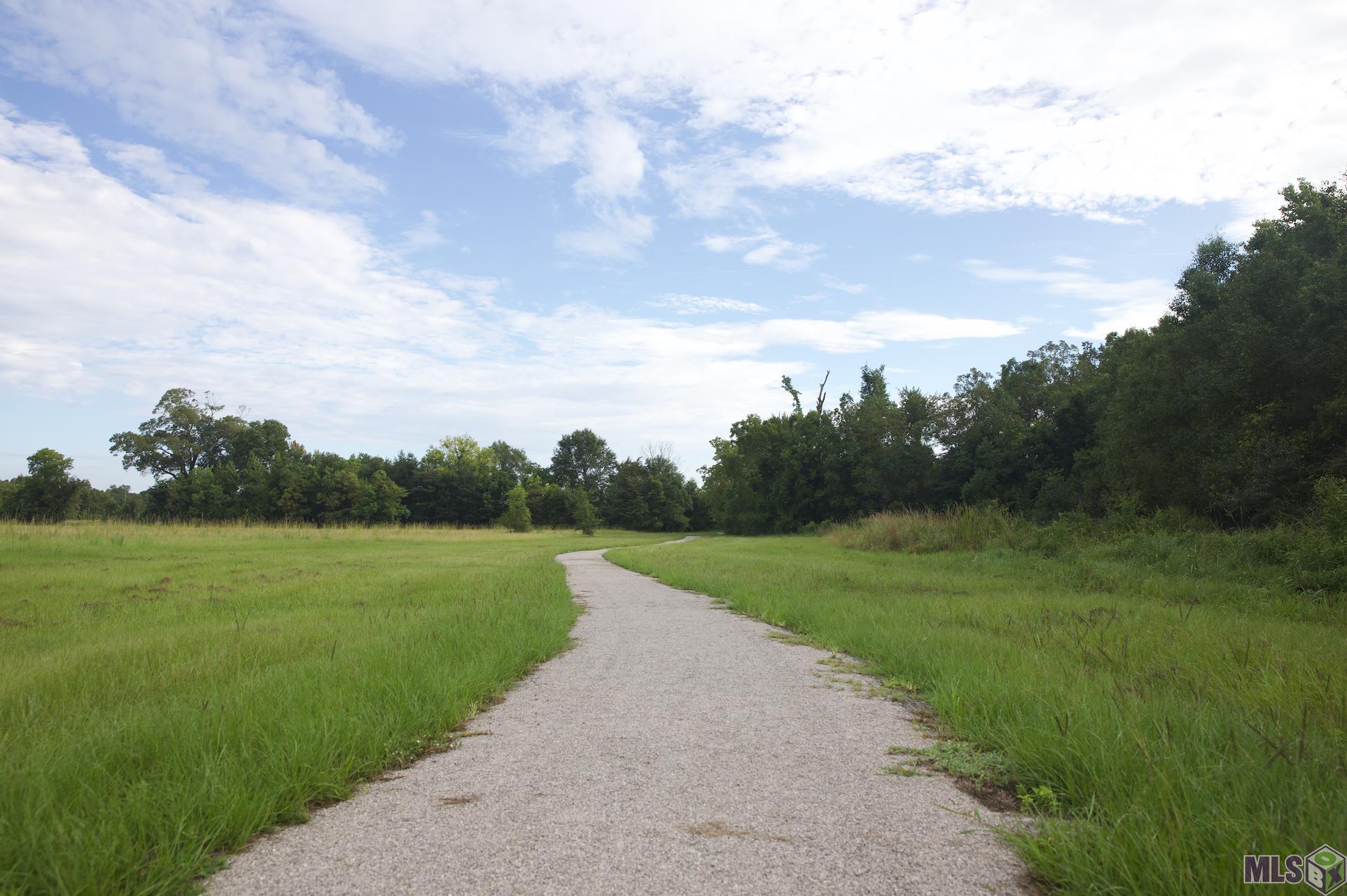 19646 Barnett Rd, Zachary, Louisiana image 11