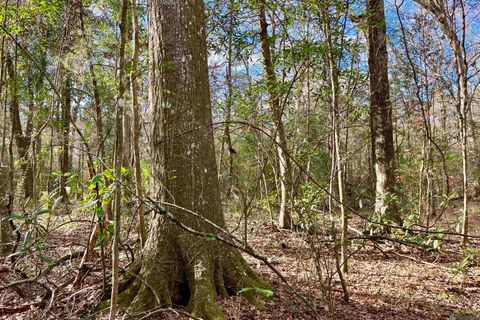 Vacant Land For Sale - 20 Lillian Ln<br/> Ethel, LA 70730