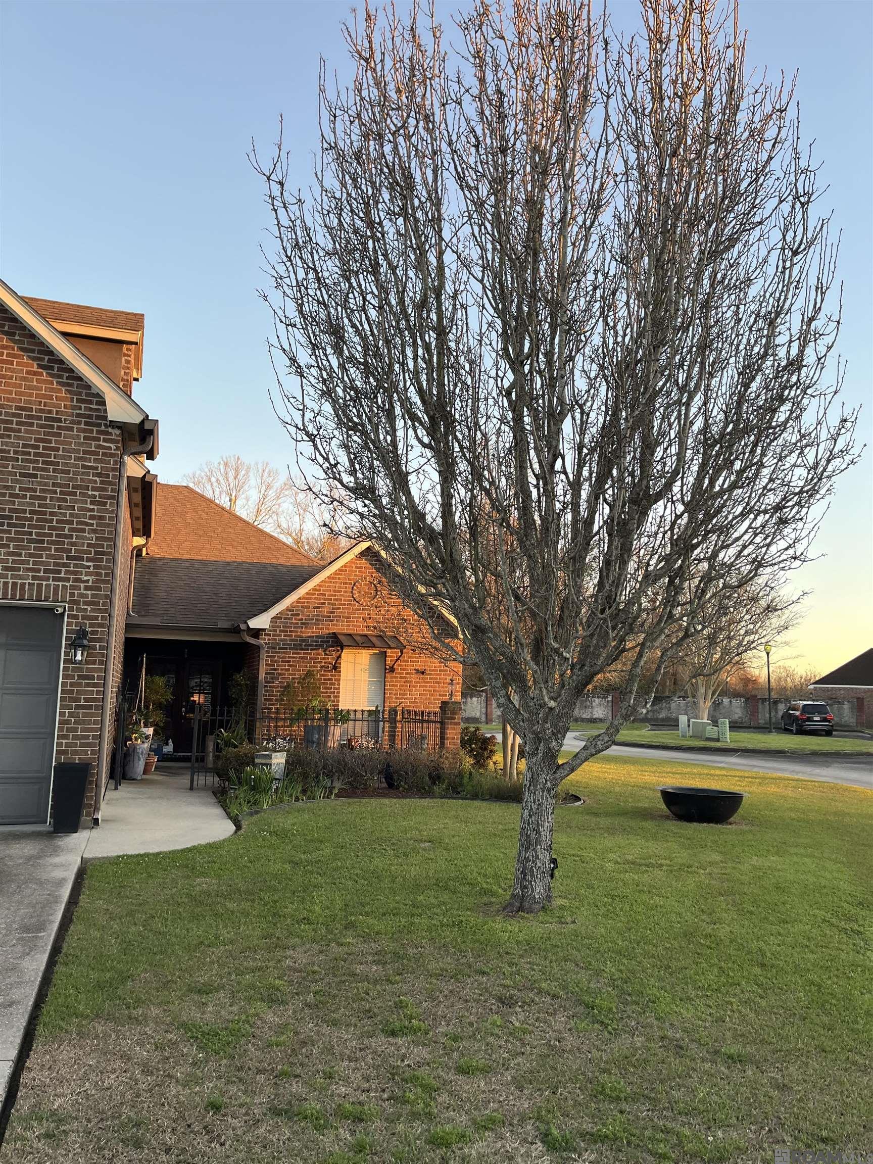 58265 Randolphs Dr, Plaquemine, Louisiana image 7