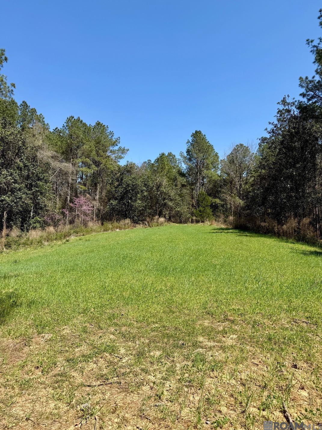 Lower Woodville Rd, Woodville, Mississippi image 1
