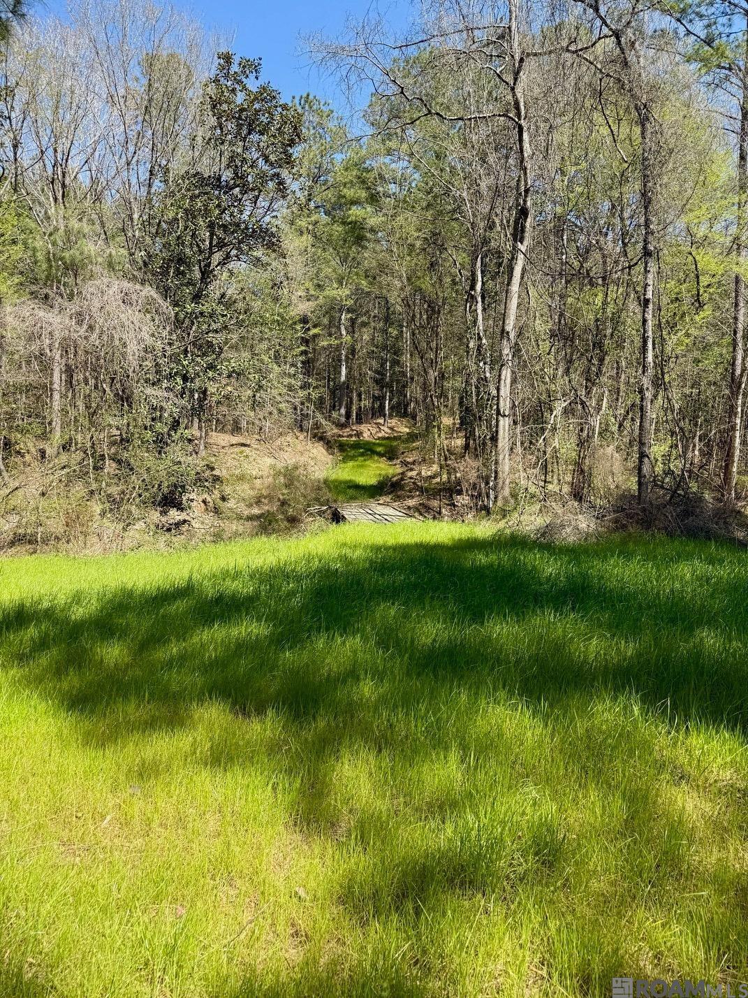 Lower Woodville Rd, Woodville, Mississippi image 2