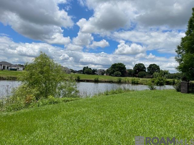 40204 Pelican Point Pkwy, Gonzales, Louisiana image 20