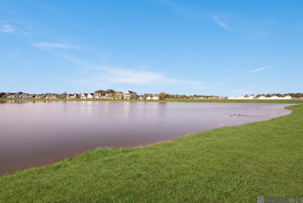 631 Beaumont Dr, Gonzales, Louisiana image 23