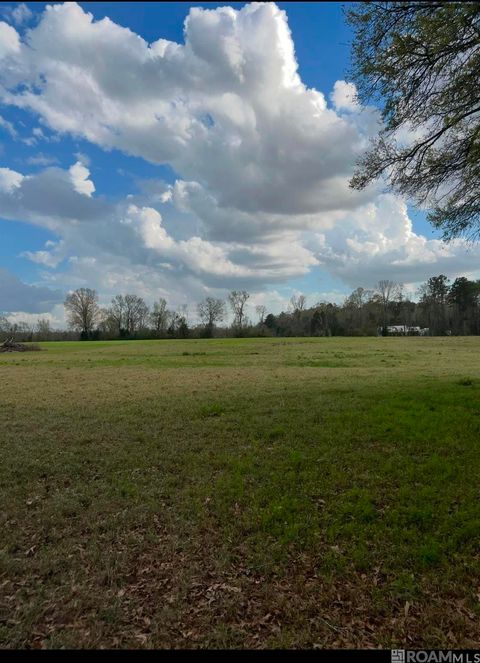 Vacant Land For Sale - LOT 2 W T Hall Rd<br/> Ethel, LA 70730