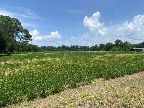 Vacant Land For Sale - 25.8 ACRES Maringouin Rd<br/> Pointe Coupee County, Maringouin, LA 70757