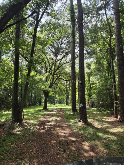 Vacant Land For Sale - TBD Blackmore Rd<br/> Saint Francisville, LA 70775