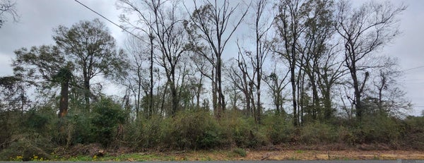 N STEVENDALE RD, BATON ROUGE, LA 70819 - Image e8ec230d761071af97c8ff2ea4407d37/2578397073
