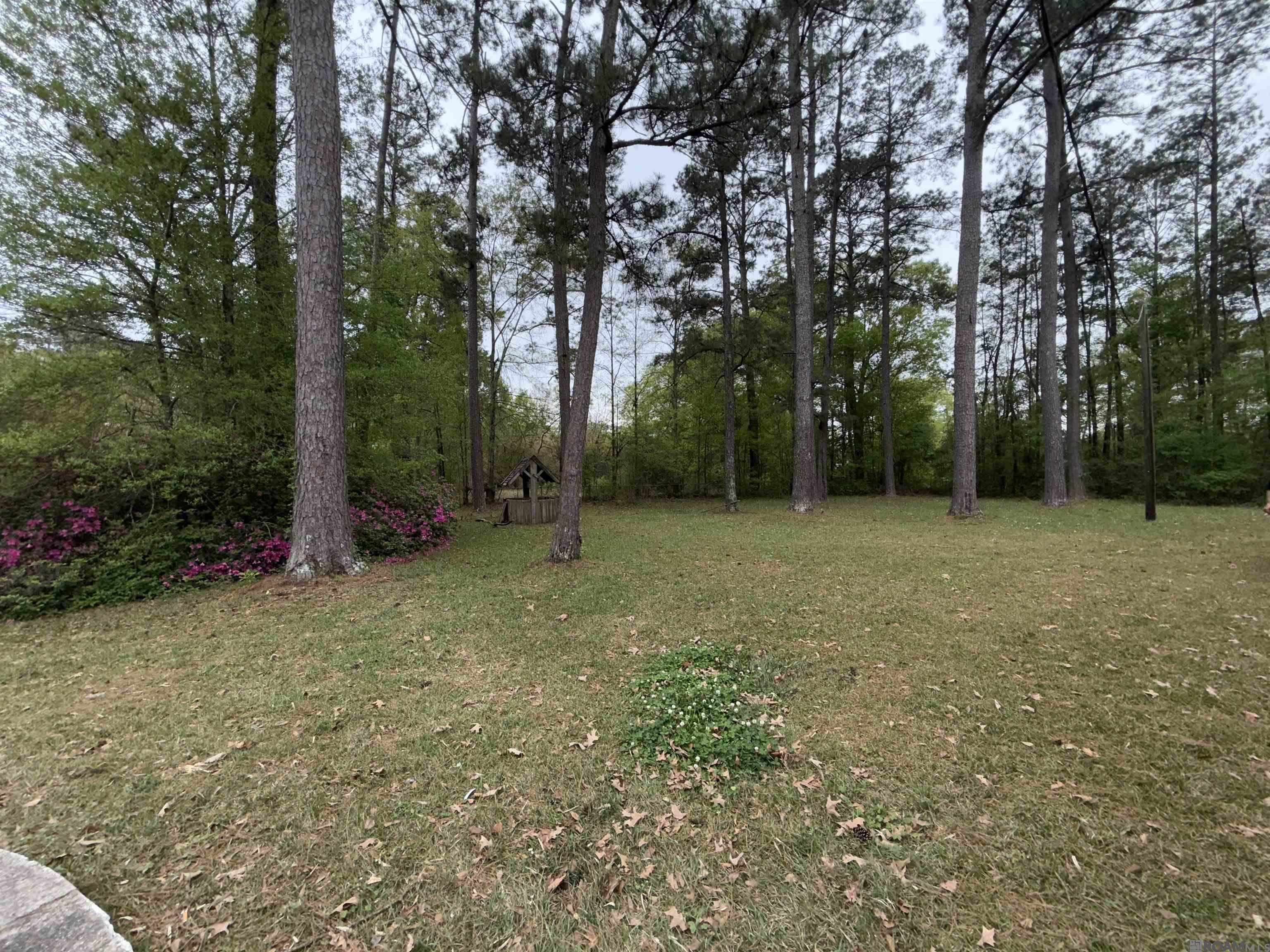 51659 River Ridge Dr, Independence, Louisiana image 24