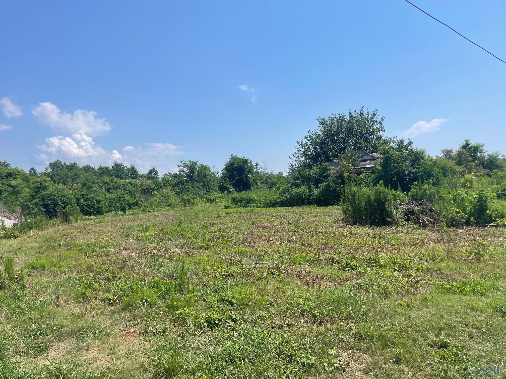 Lot 11 Blk. 2 East 93rd Street, Cut Off, Louisiana image 3