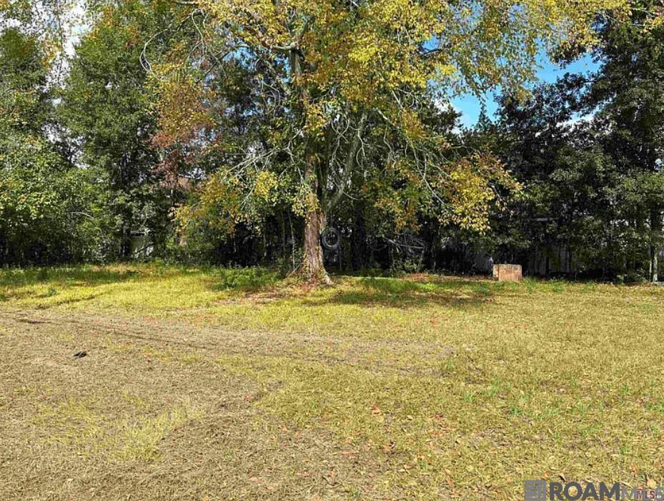 545 Cotton St, Baton Rouge, Louisiana image 2