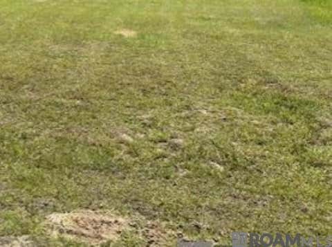 Vacant Land For Sale - 1743 Job Ave<br/> Zachary, LA 70791