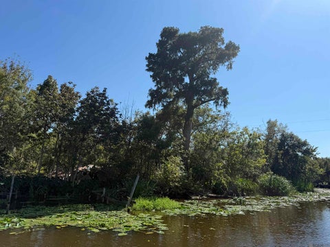 Vacant Land For Sale - 660 Alligator Bayou (by Boat)<br/> Reserve, LA 70449