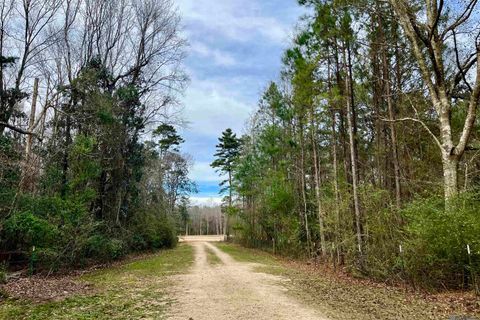 Vacant Land For Sale - 21 Lillian Ln<br/> Ethel, LA 70730