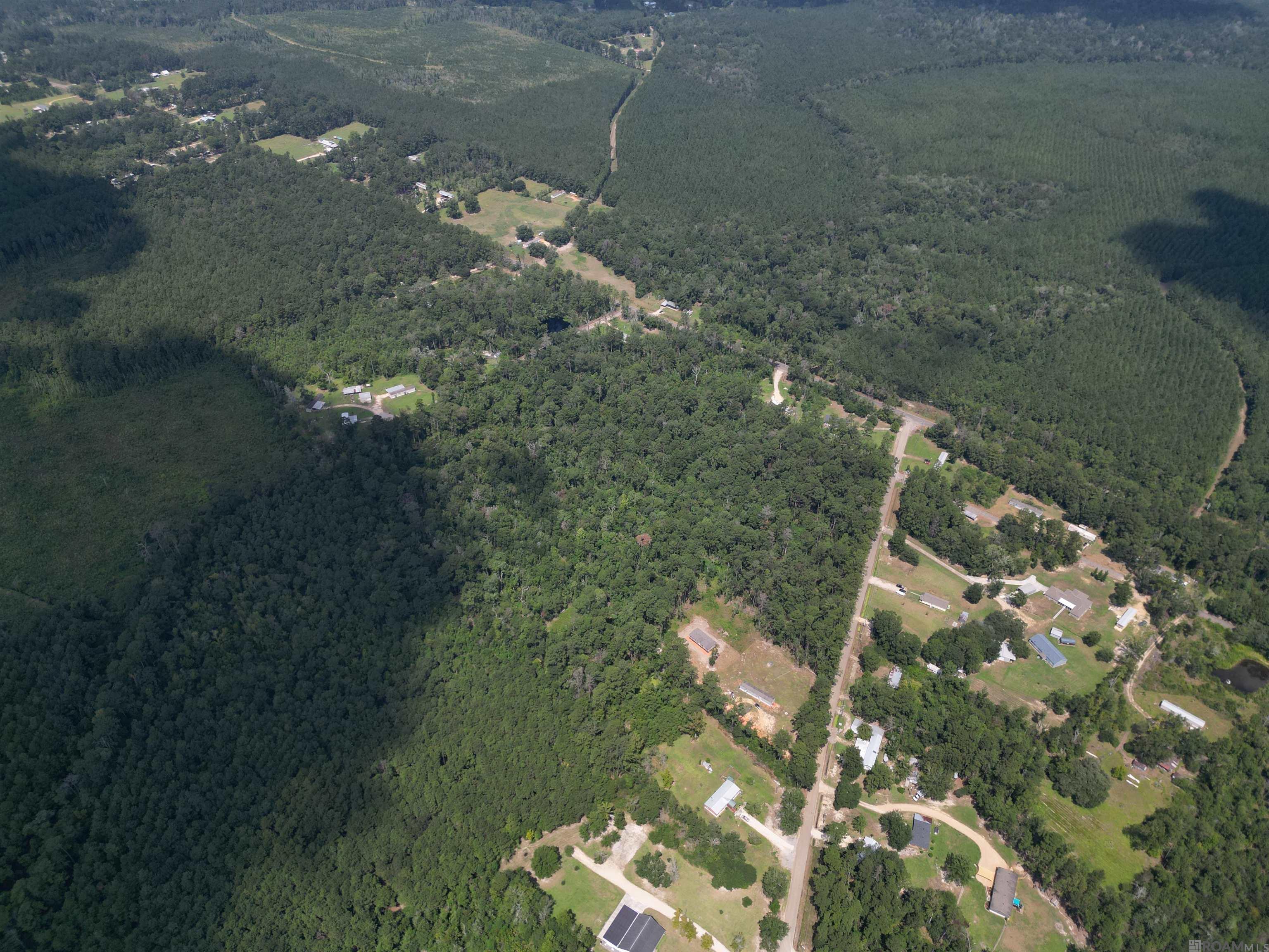 TBD Pea Ridge Rd, Albany, Louisiana image 6